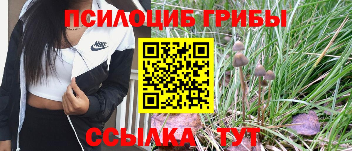 Галлюциногенные грибы GOLDEN TEACHER  Галлюциногенные грибы Magic Shrooms  Юрга  цены наркотик  Вход с VPN 